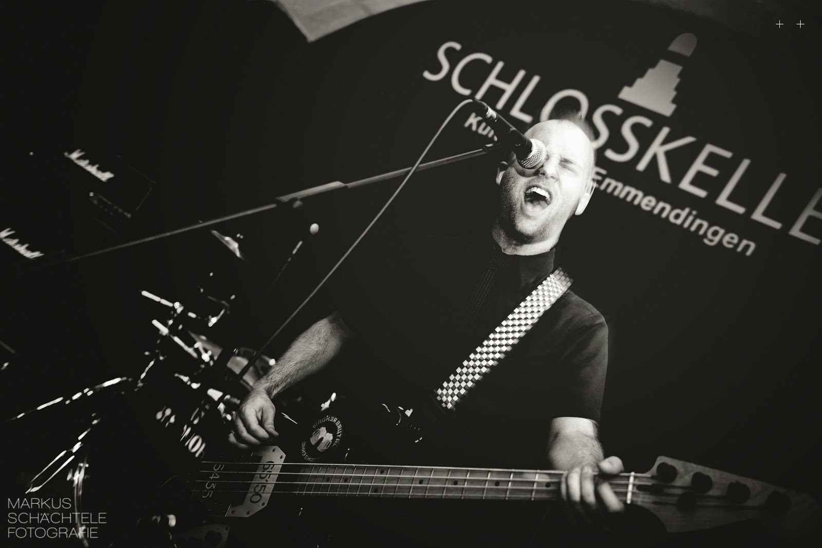 Galleriebild-Bass